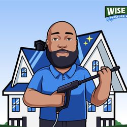 Wise Guy Pressure Washing