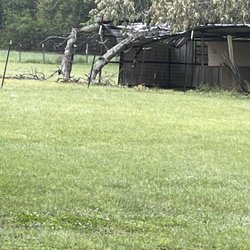 All Out Welding - Tree crushed horse stall