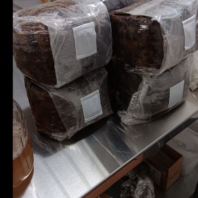 BeShroomed Farms by null