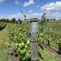 Zerba Cellars