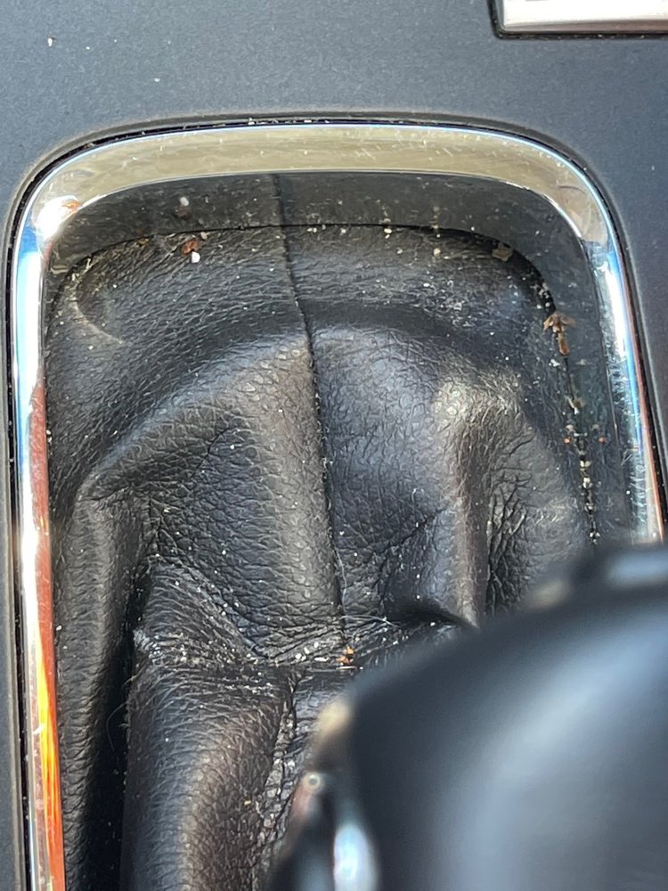 HERTZ RENT A CAR Updated September 2024 1208 North Willow, La