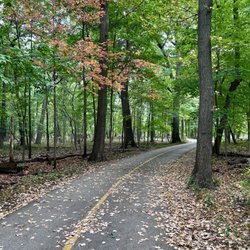 Caldwell Woods