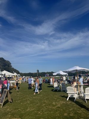 Newport Polo by null