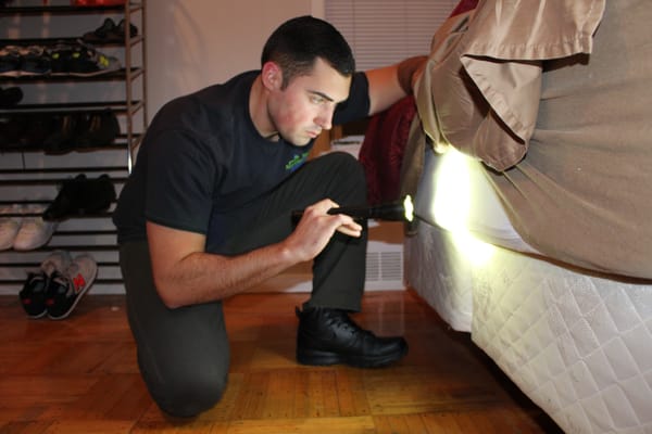 Northeastern Exterminating