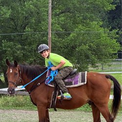 Ridgeview Stables Sales Barn