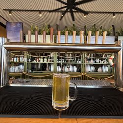 Old Gregg Brewing Company - Lucian posing with the other brew taps