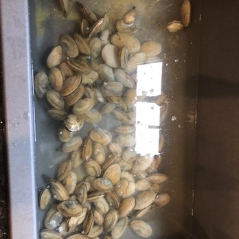 The Lobster Guy - Clams.... - Seafood Markets Near Me - Narragansett, Rhode Island