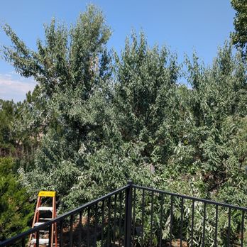 Keown Tree Care & Landscape - Tree Services Near Me - Centennial , Colorado Keown Tree Care & Landscape - Tree Services Near Me - Centennial , Colorado