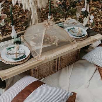 Hardly Picnics - Boho Lux with sheer arch add-on - Party & Event Planning Near Me - Alexandria, Virginia Hardly Picnics - Boho Lux with sheer arch add-on - Party & Event Planning Near Me - Alexandria, Virginia