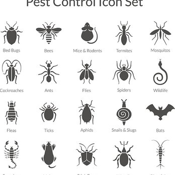 Green Armor Pest Control - Insect control - Pest Control Near Me Green Armor Pest Control - Insect control - Pest Control Near Me