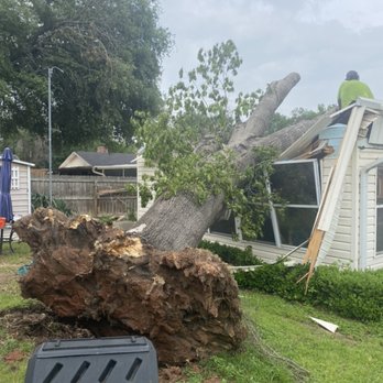 West stump grinding - Another large tree that fell on a house - Tree Services Near Me - Temple, Texas West stump grinding - Another large tree that fell on a house - Tree Services Near Me - Temple, Texas