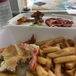 FROZEN CHEESEBURGER!!! WITH SOGGY FRIES FROZEN CHEESEBURGER!!! WITH SOGGY FRIES