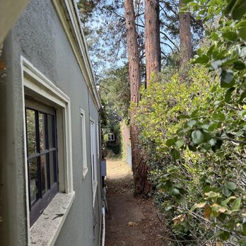 Moreno Tree Service - Cleared side of house and trimmed redwood tree. - Tree Services Near Me Moreno Tree Service - Cleared side of house and trimmed redwood tree. - Tree Services Near Me