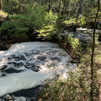 Falling Creek Falls - Parks Near Me - Lake City, Florida