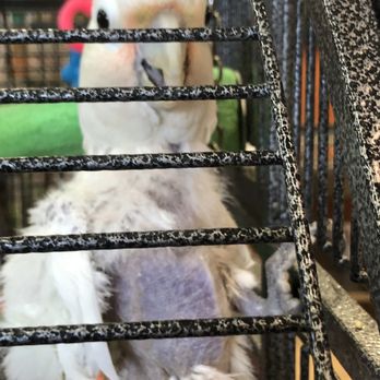 The Aviary - Bird Shops Near Me - Goulds, Florida