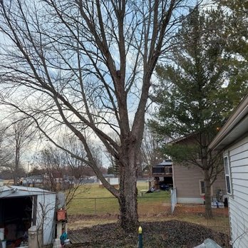 Tree Fellers Tree Care - Tree Services Near Me