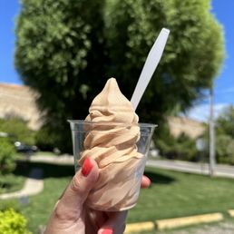 a hand holding a cup of ice cream