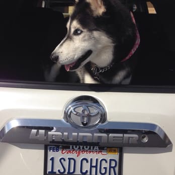 Critter Cleaners - Best Place Ever 2 Get My Baby All Nice N Clean !!! - Pet Groomers Near Me - San Diego, California Critter Cleaners - Best Place Ever 2 Get My Baby All Nice N Clean !!! - Pet Groomers Near Me - San Diego, California