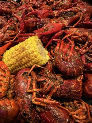 The Cajun Table by null