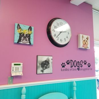 Bubbles N' Bows Doggie Salon - The decor - Pet Groomers Near Me - Fort Mill, South Carolina Bubbles N' Bows Doggie Salon - The decor - Pet Groomers Near Me - Fort Mill, South Carolina