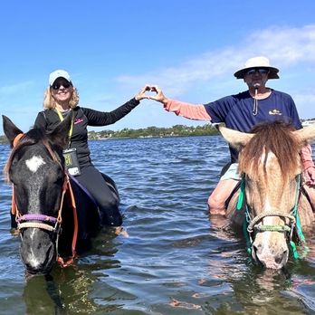 Florida Beach Horses - Very romantic and heart felt - Beaches Near Me - Bradenton, Florida