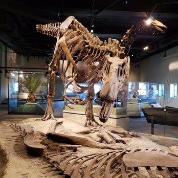 Field Museum - Museums Near Me - Chicago, Illinois