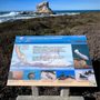 Photo of Piedras Blancas Light Station