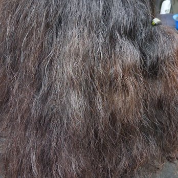 Hair by Mariae - . Did a Japanese Straightener (Liscio) call and book for a consult. This is a permanent fix 831-713-0438 - Hair Stylists Near Me - Modesto, California Hair by Mariae - . Did a Japanese Straightener (Liscio) call and book for a consult. This is a permanent fix 831-713-0438 - Hair Stylists Near Me - Modesto, California