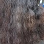 Photo of Hair by Mariae