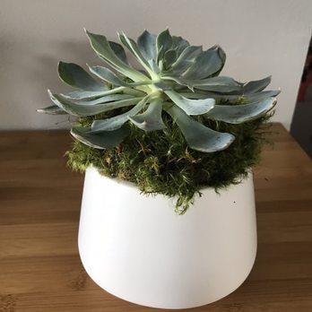 Christine Noelle Design - Florists Near Me - Chicago, Illinois