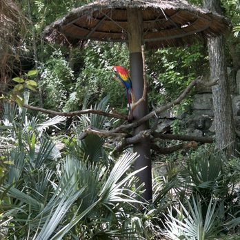 Fort Worth Zoo - Zoos Near Me - Fort Worth, Texas