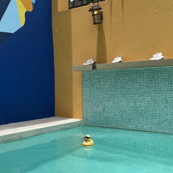 Casa De Amistad - Shared pool with Mr. Ducky - Guest Houses Near Me - Vieques, Puerto Rico