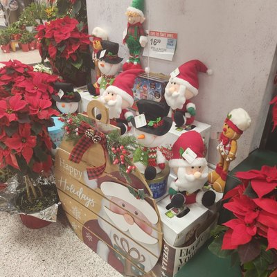 Publix Super Market at Williamsburg Downs Shopping Center by null