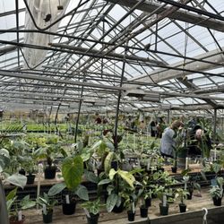 Ted's Greenhouse - Greenhouse