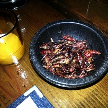 Poquitos - Fried Grasshoppers! - Mexican Near Me - Seattle, Washington