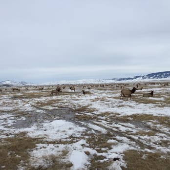 National Elk Refuge Sleigh Rides - Parks Near Me - Jackson, Wyoming National Elk Refuge Sleigh Rides - Parks Near Me - Jackson, Wyoming