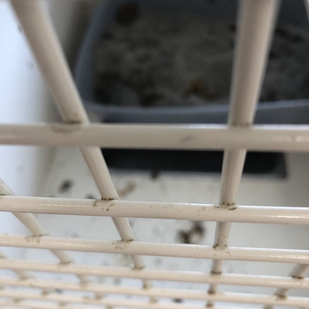 PETCO 14 Reviews Pet Stores 4345 US Route 9, Freehold, NJ Phone