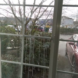 My window out to a beautiful Seattle day...look close.. My window out to a beautiful Seattle day...look close..