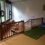 Photo of Casa Luz