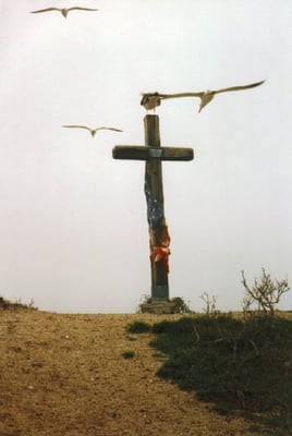 Long Point Beach by null