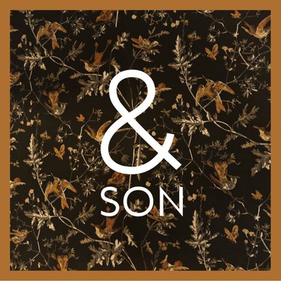 & Son UES by null