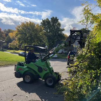 Easy Tree Service - Dingo's help clean up the job site - Tree Services Near Me - Lakeville, Minnesota Easy Tree Service - Dingo's help clean up the job site - Tree Services Near Me - Lakeville, Minnesota