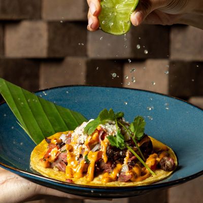 solita Tacos & Margaritas by null