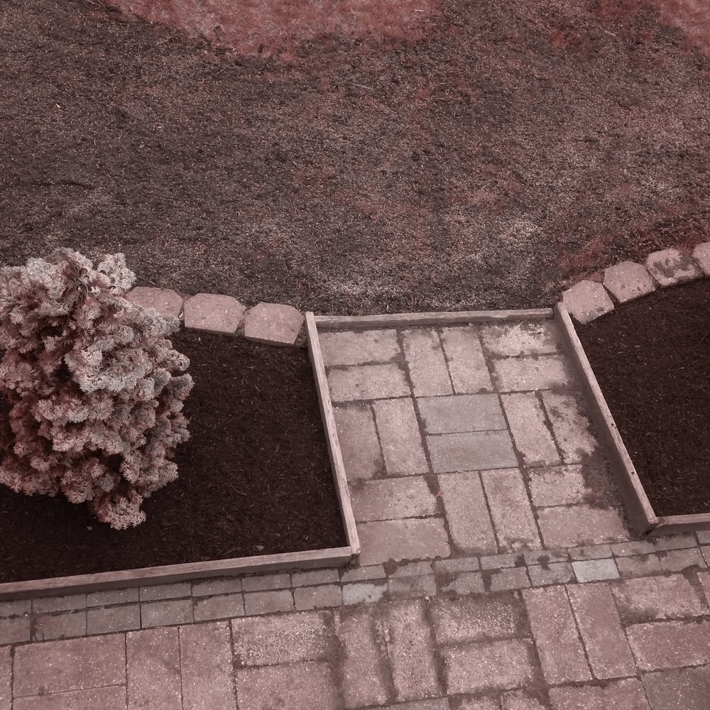 Miz's Landscaping - a view of a garden from above - Landscaping Near Me Miz's Landscaping - a view of a garden from above - Landscaping Near Me