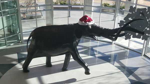 Sam Noble Oklahoma Museum of Natural History by null
