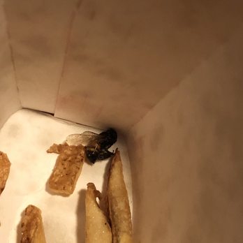 Wendy's - Livid!!!! Found a yellow jacket..bee...hornet ... can't really well after being deep fried! So disgusting!people plzz check your food. - Burgers Near Me - Hawthorne, California Wendy's - Livid!!!! Found a yellow jacket..bee...hornet ... can't really well after being deep fried! So disgusting!people plzz check your food. - Burgers Near Me - Hawthorne, California