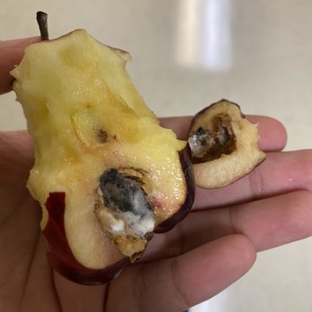 Keys Gate Charter High School - Moldy apple cafe gave me - Middle Schools & High Schools Near Me - Homestead, Florida Keys Gate Charter High School - Moldy apple cafe gave me - Middle Schools & High Schools Near Me - Homestead, Florida