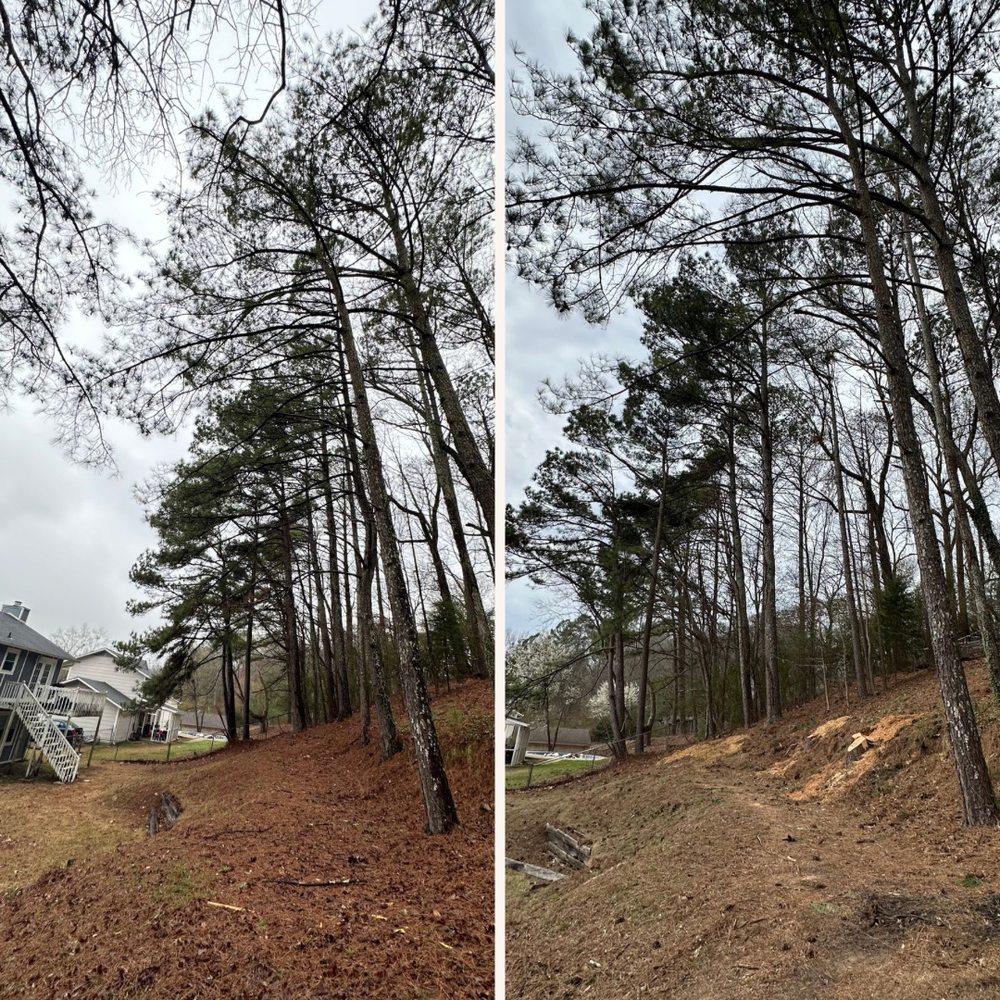 Cahaba River Tree Service - tree service in Moody, AL