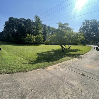 Jungle Lawn Service - Nice cut - Lawn Services Near Me Jungle Lawn Service - Nice cut - Lawn Services Near Me