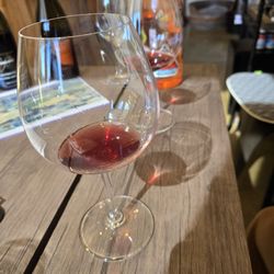 Foursight Wines - Excellent Pinot! Loved Zero the best. Beautiful nose, lots of depth in flavor. Bought two of them!